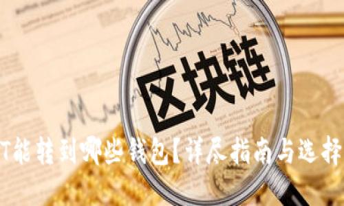 USDT能转到哪些钱包?详尽指南与选择建议