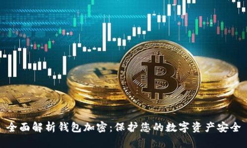 全面解析钱包加密：保护您的数字资产安全