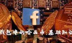 深入了解TP钱包中的哈西币：基础知识