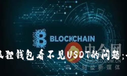 解决小狐狸钱包看不见USDT的问题：全面指南