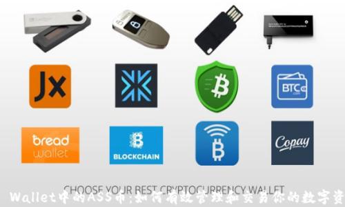 
TP Wallet中的ASS币：如何有效管理和交易你的数字资产