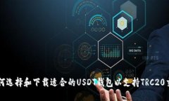 如何选择和下载适合的USDT钱包以支持