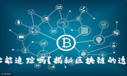 USDT钱包地址能追踪吗？揭秘区块链的透明性与隐私性