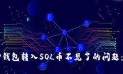 如何解决TP钱包转入SOL币不见了的问题