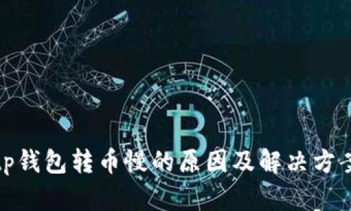 tp钱包转币慢的原因及解决方案